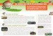 Des lasagnes dans mon jardin pesticidesjardiner-naturellement.org/pdf/Lettre-de-Jojo-ete-2013.pdf · différente de jardiner qui consiste à créer un sol ... générer un sol humifère