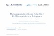 Réorganisation Atelier Hélicoptères Légersdoc.centrale-marseille.fr/TFE/inter2016/Dupisson_Adrien_Rapport.pdf · incarnant l’esprit de la plateforme Airbus : le H160, doté
