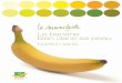 La banane bien dans sa peau · Synthèse des messages clés. I a Lenanba : un concentré de nutriments et d’énergie utile 1) Un fruit de faible densité énergétique ... Un fruit