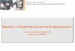 Module « Projet Personnel et Professionnel · Module « Projet Personnel et Professionnel » Année universitaire 2016-2017 Marie-Aline GAVAND Diplôme Universitaire de Technologie