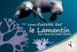Livret sur le Lamantin - Protection de la nature en Guyane€¦ · se reproduire entre les racines de palétuviers. Les racines protègent ainsi les bébés poissons de gros ... C’est