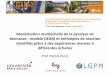 Modélisation multiéchellede la pyrolyse de biomasse ...projet.ifpen.fr/Projet/upload/docs/application/pdf/2017-06/1-perre... · La simulation prédictive 1/06/2017 Patrick Perré,