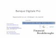 Banque Digitale Pro - Nicolas Guillaumenicolasguillaume.fr/wp-content/uploads/2013/08/Pitch-Banque-Digit... · souscription internet dans le mobile) ... conservation des contrats,