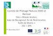 Comité de Pilotage Natura 2000 et Ramsar - baie …€¦ · Comité de Pilotage Natura 2000 et Ramsar Site «Marais breton, baie de Bourgneuf, île de Noirmoutier, forêt de Monts»