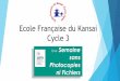 Ecole Française du Kansai Cycle 3 - lfkyoto.orglfkyoto.org/wp-content/uploads/2014/04/La-semaine-sans-photocopies... · I. Histoire avec le vidéoprojecteur . Etude de documents