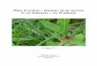 Plan d’action « Damier de la succise et ses habitats » … · d’un réseau d’habitats de papillons menacés en Région ... (CR), Iphiclides podalirius (V), Limenitis populi