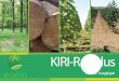 KIRI-Rapidus kiri rapidus .pdf · - Plan Maroc Vert . ... • L´arbre qui pousse le plus vite au monde (3m à 5m/an). • Sa durée de vie est longue 70 à 100 ans, ce qui en fait