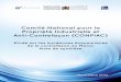 Comité National pour la Propriété Industrielle et Anti … · 2013-02-06 · Etude sur les incidences économiques de la contrefaçon au Maroc ... Unions régionales de la CGem