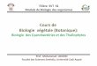 Cours de Biologie végétale (Botanique) · PDF fileModule de Biologie des organismes Cours de Biologie végétale (Botanique): Biologie des Cyanobactéries et des Thallophytes Prof