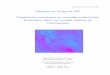 Rapport de Stage de M2 Dissipation num erique et …intro/Files/2010_M2_Tort.pdf · Stage de M2, mars a juin 2010 Rapport de Stage de M2 ... (role de la strati cation, des interactions