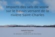 Impacts des sels de voirie sur le bassin versant de la ... · Impacts des sels de voirie sur le bassin versant de la rivière Saint-Charles Isabelle Fournier 9 mai 2018 Dir. Warwick