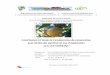 Contribution à l’étude de l’amélioration de conservation post-récolte des agrumes en vue d’exportation (Cas d…biblio.univ-antananarivo.mg/pdfs/randriamanarivontsoaJeannotJF... ·