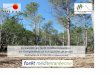 Exemple de mise en place d'une politique publique · l'exploitation des forêts de ... - Rédaction du « Guide technique ... - Programme éducatif pour la forêt et diffusion d'un