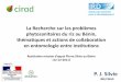 La Recherche sur les problèmes phytosanitaires du riz …agritrop.cirad.fr/562854/2/document_562854.pdf · • PAFIRIZ (Projet européen, Bénin) ... (IPM) contre les ... (Source: