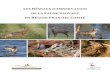LES RÉSEAUX D’OBSERVATION - oncfs.gouv.fr · Pour contribuer au suivi patrimonial et à la gestion de la faune sauvage et de ses habitats, ... Ce document, abondamment ... Prédateurs