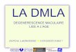 LA DMLA - ophtalmologie-lariboisiere.fr DMLA... · Chers collègues, Ces fichiers sont à votre usage personnel. Certaines images ou tableaux de chiffres sont empruntés à des articles