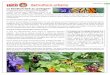 Fiche 3 Biodiversité au Jardin VF - expo-agricole.comexpo-agricole.com/medias/doc/pdf/2018/4-Biodiversite-au-potager.pdf · fleurs réussissent à se faire remarquer de loin par