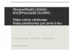 TRAUMATISMES CRÂNIO- ENCÉPHALIQUES …campus.neurochirurgie.fr/IMG/pdf_9._Le_traumatisme_crnio... · Craniectomie bi frontale ... H H KAUFMAN et al. Civilan gunshot wounds to the