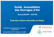 Guide Auscultation - cotita.fr · Guide Auscultation des Ouvrages d‘Art ... • Les ouvrages d’art visés par le guide sont en priorité les ponts, les murs de soutènements et