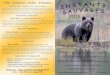 Flyer Projet page1 - s17a4717c95451e37.jimcontent.com · Observateur passionné de nature sauvage, il m’a été donné de rencontrer les animaux les plus prestigieux d’Amérique