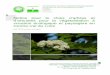 Notice pour le choix d‘arbres et d‘arbustes pour la ...cbnbp.mnhn.fr/cbnbp/ressources/telechargements/Notice_arbres... · Le Centre-Val de Loire se caractérise par une grande