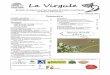 L V r - Papillons de Poitou-Charentes · 3 dans l’Indre autour de Châteauroux. Les indicateurs ... - Conservatoire des espaces naturels du Poitou-Charentes (900 observations) -
