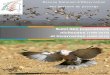 Suivi des populations nicheuses et hivernantes (2000 … · 1 Réseau national d’observation des oiseaux de passage - Suivi des populations nicheuses (1996-2015) et hivernantes