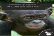 Conditions de séjour au sanctuaire Lola Ya Bonobo4d5cbs3ii7gn37bqp03o6vfd-wpengine.netdna-ssl.com/wp-content/... · vouloir en informer la direction d'ABC avant le départ, afin