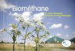 Biométhane - biogazvallee.eu · des solutions innovantes au service de l’environnement, de l’économie locale et du développement des territoires. Sandra Lagumina Directeur