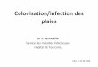 Colonisation/infection des plaies - ARMEDA · – Plaie chronique : ... – les résultats ne servent qu’en cas de mauvaise ... Prélever en frottant avec un écouvillon la périphérie