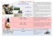 Premi¨re Guerre mondiale - daniele- .LES REPERES HISTORIQUES : 3¨me 1914/1918 Premi¨re Guerre