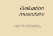 Evaluation musculaire - APTM - News MUSCULAIRE Colet… · Évaluation musculaire de la main y 1) Bilan musculaire du poignet y 2) ... trapèze. y Action : Flexion ... palpent face