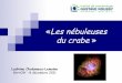 Les nébuleuses du crabe - gfol1.grrroh.comgfol1.grrroh.com/download/les_nebuleuses_du_crabe_8_12_11_ws... · En réanimation: • Choc cardiogénique (OAP, genoux froids, bas débit