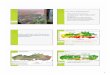 Organisation, méthodes et Structure présentation … · Le bassin-versant de ‘Melsterbeek’ est caractérisé ... En bref : une gestion integrée du territoire et de l’eau