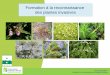 Formation à la reconnaissance des plantes invasivescen-normandie.fr/.../fichiers/formation_reconnaissance_plantes_eee.pdf · Ambroisie en fleurs – CEN-BN & CBNB – Formation à