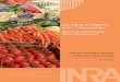 Les fruits et légumes dans l’alimentation - …agriculture.gouv.fr/sites/minagri/files/documents/pdf/inra-fruits... · Impacts de la conservation et des transformations..... 31