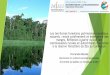 Les territoires forestiers patrimoines mondiaux naturels ...crises.uqam.ca/upload/files/Colloque_international_2017/Archives... · à la réserve forestière du Dja au Cameroun 