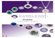 Guide Janvier 2017 - kameleonjewelry.com · J’aime transformer ma bague avec un look ... habitués avec les différentes façons de remplacer un JewelPop®; que ce soit en utilisant