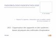 RADIOBIOLOGIE-RADIOPATHOLOGIEscinti.edu.umontpellier.fr/files/2010/09/ROSSI-RADIOBIOLOGIE... · » Lymphopénie (2-3 j.), granulopénie ... • CONDUITE A TENIR DEVANT UNE ... •