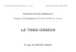 LE TISSU OSSEUX - …cytogenetiquedesousse.y.c.f.unblog.fr/files/2009/11/letissuosseux.pdf · Cellules jeunes situées à la surface du tissu osseux en croissance. Riches en organites