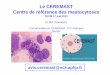 Le CEREMAST Centre de référence des mastocytoses · • Anesthésie (actualisation des données de tolérance et des recommandations) ... (A Soria, allergo, Paris; C Livideanu,