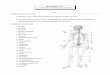 BIOLOGIE 53421 Les systèmes squelettique et … 53421/Module 3/pdf/exercice3.1... · La contraction est initiée par un influx nerveux qui stimule le muscle squelettique et entraîne