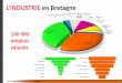 L’INDUSTRIE en Bretagne - Lycée Marcel Callo - … · 2017-01-13 · Agents qualifiés de traitement thermique et de surface 22 64% 12% ... Dessinateurs en mécanique et travail