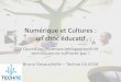 Numérique et Cultures : un choc éducatif · Des cultures ? •La multipli ... –Y a-t-il des pédagogies numériques ? ... onnaissane/app op iation de l’évolution culturelle