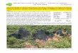 Balade Chartreuse de Montrieux – Aiguilles de Valbelle …jean.louis.negre.free.fr/06_Sud_est/_Abbaye_Montrieux/...V0s.pdf · Vit. descente 400 m/h Vit. plat 4 km/h Une balade agréable