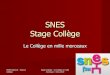 SNES Stage Collège - SNES - Syndicat National des ...€¦ · Stage Collège - Le Collège en ... l’année terminale de CAP ou de BEP (42 000 en 2005) 1% sont titulaires du brevet