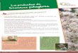 Le traitement des semences Principe de basecbdbiodiversite.org/wp-content/uploads/2017/01/fiche-generale.pdf · Cytoplasmique, haplométhode, culture d’anthères...) se généralisent