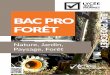 BAC PRO FORÊT - formagri-65-vic.frformagri-65-vic.fr/LYCEEPDF/BACPROFORET.pdf · En 3 ans après la 3ème Le bac pro forêt est destiné à tous ceux qui souhaitent : - créer une