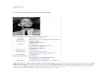 malcolm X - Issopha.s.i.f.unblog.frissopha.s.i.f.unblog.fr/files/2008/03/malcolmx1.doc  · Web viewUn article de Wikipédia, l'encyclopédie libre. Malcolm X dans les derniers mois