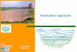 Méthodes et stratégies Discussions et réflexionsareas-asso.fr/images/formations2010/reflexions_animation_agricole.pdf · À partir des visites techniques effectuées à Agri Péron,
